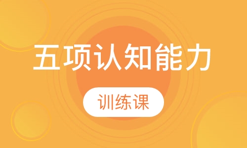 五项认知能力训练课程