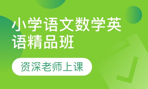 小学语文数学英语精品4人班