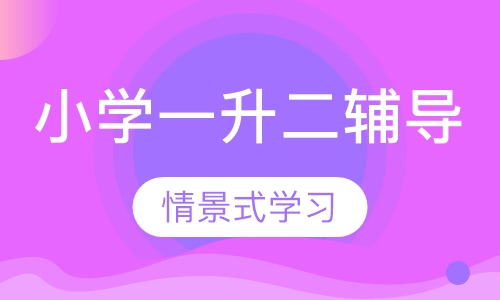 小学一升二辅导