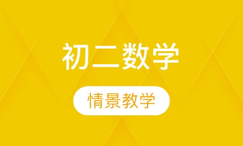 初二数学一对一辅导