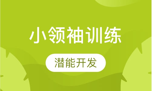 中华好少年小领袖训练营