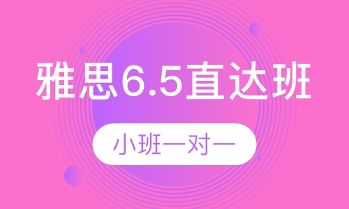 环美雅思6.5直达班