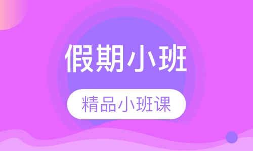 初中数学假期小班