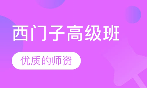 西门子高级班