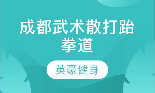 成都武术套路,散打,跆拳道培训