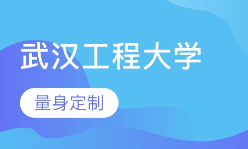 武汉工程大学(在职研究生)