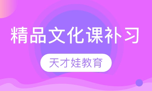 精品文化课补习