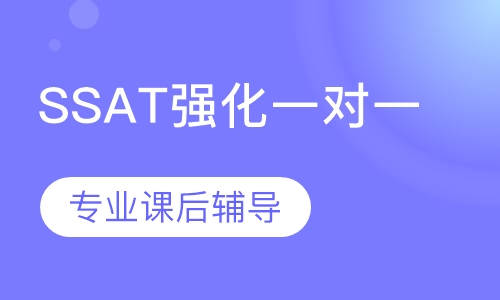 SSAT强化VIP一对一