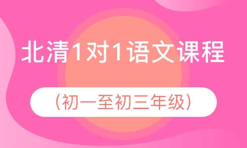 北清1对1语文课程（初一至初三年级）