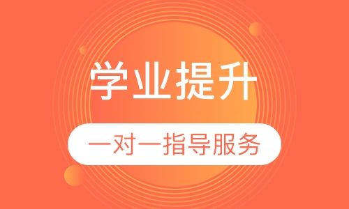 学业提升一对一指导服务