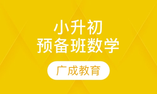 小升初预备班数学