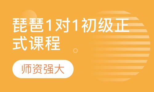 琵琶1对1初级正式课程