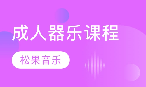 成人器乐课程