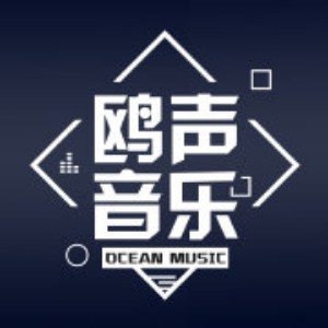 深圳鸥声音乐培训