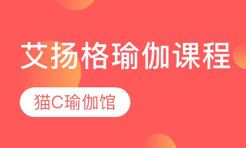 艾扬格瑜伽课程