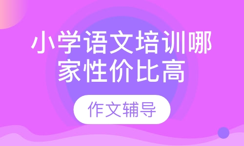 小学语文培训哪家性价比高