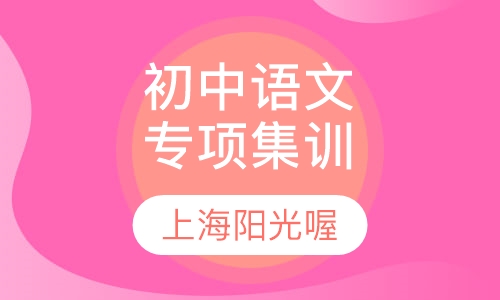 初中语文专项集训