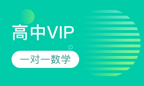 高中VIP一对一数学