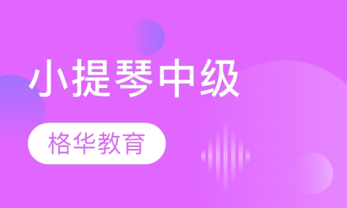 小提琴中级