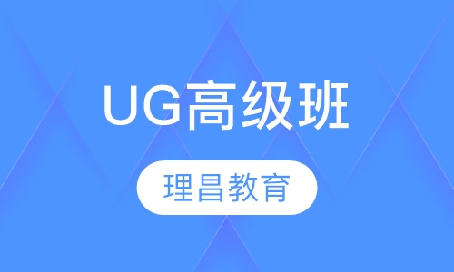 UG高级班