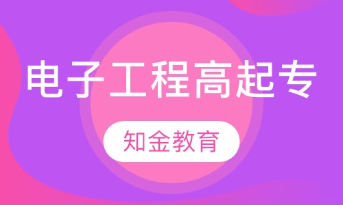 电子信息工程技术（高起专）