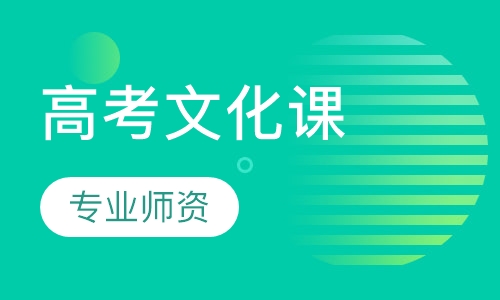 高考文化课