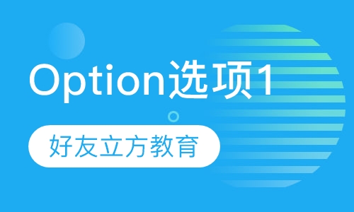 Option 选项 1