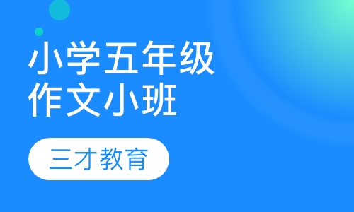 小学五年级作文中南路精品小班