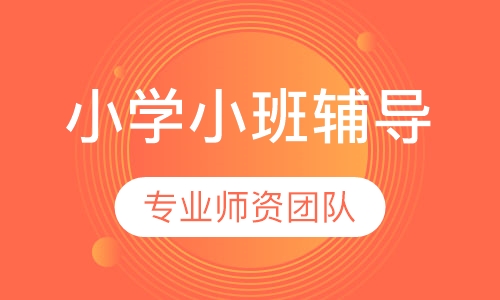 小学小班辅导