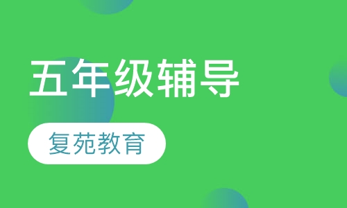 五年级辅导