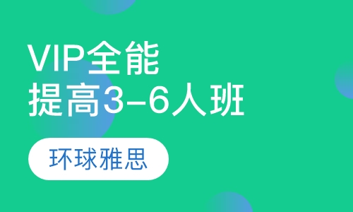 VIP综合全能提高3-6人班
