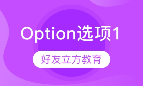 Option 选项 1