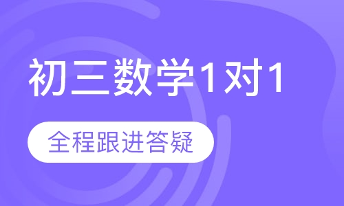 初三数学1对1辅导