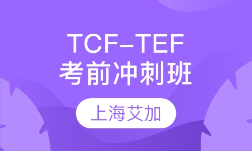 TCF-TEF考前冲刺班
