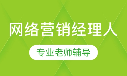 网络营销经理人