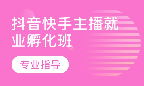 抖音快手主播就业孵化班