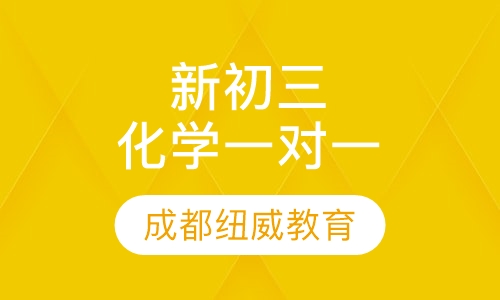 新初三化学一对一