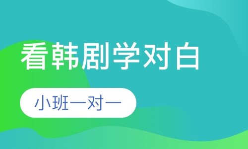 看韩剧学对白