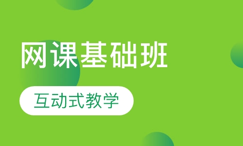 CPA网课基础班
