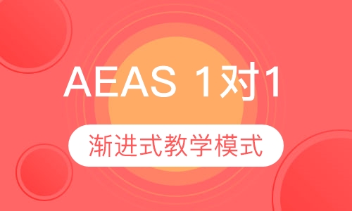 AEAS 1对1