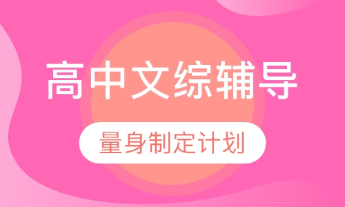 高中一对一文综辅导