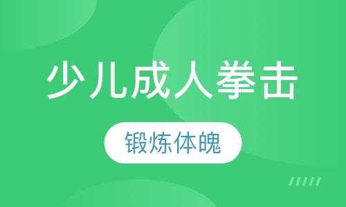 少儿 成人拳击