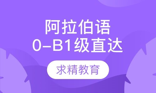 实用葡萄牙语0-B1 直达班