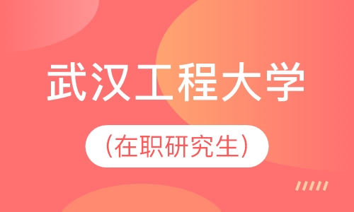 武汉工程大学(在职研究生)