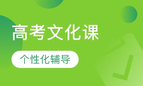 高考文化课