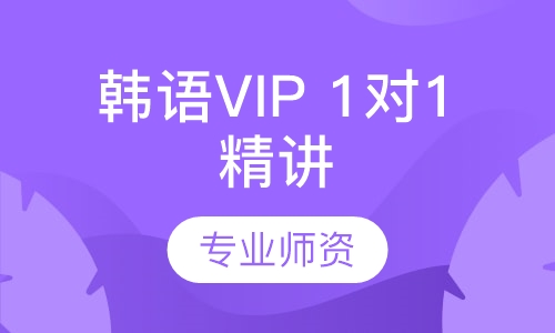 韩语VIP 1对1 精讲套餐