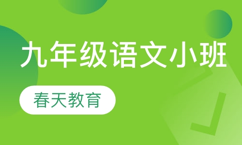 九年级(初三)语文小班辅导课程
