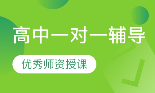高中一对一辅导