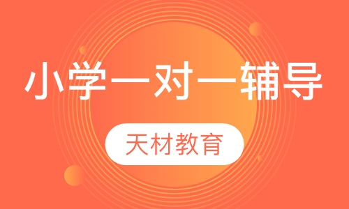 小学一对一辅导