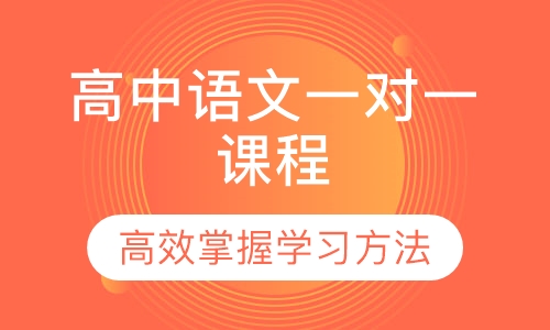 高中语文一对一课程